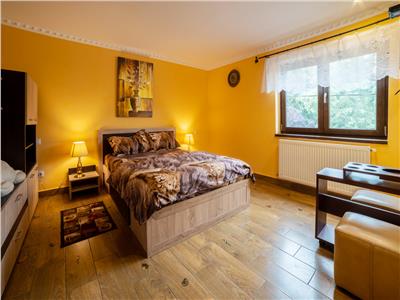 Pension 7 rooms and 3 apartments, loc. Albesti, 6 km from Sighisoara