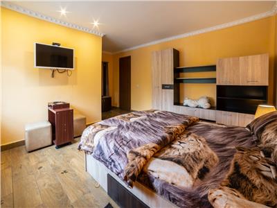 Pension 7 rooms and 3 apartments, loc. Albesti, 6 km from Sighisoara