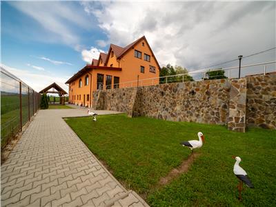 Pension 7 rooms and 3 apartments, loc. Albesti, 6 km from Sighisoara