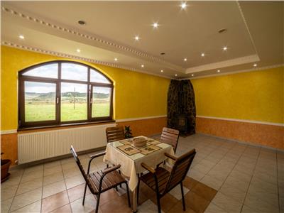 Pension 7 rooms and 3 apartments, loc. Albesti, 6 km from Sighisoara