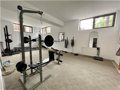 Casa de 310 mp utili si 700 mp teren de vanzare, in Sancraiu de Mures