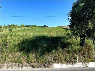 Vand teren intravilan in Sanisor cu suprafata de 4946 mp