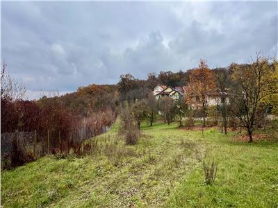 Vand parcele de teren zona Platou cu PUZ, suprafete incepand cu 1000mp