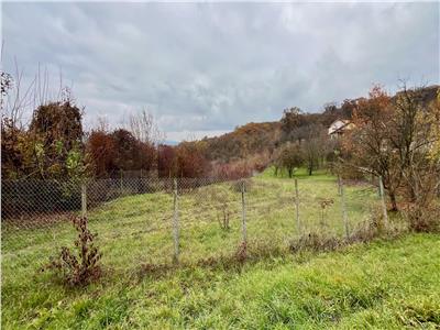 Vand parcele de teren zona Platou cu PUZ, suprafete incepand cu 1000mp