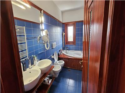 House / villa for sale 380 sqm in Sangeorgiu de Mures