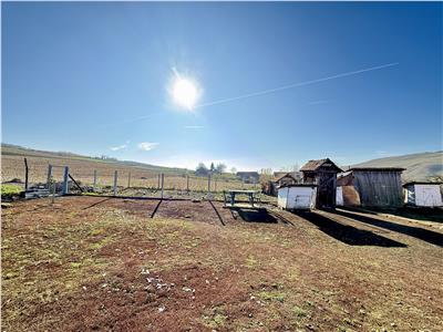 Casa cu teren de 5400 mp intravilan de vanzare, loc. Dileu Vechi