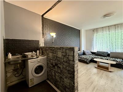 Apartament cu 1 camera de inchiriat, in Tudor, zona Rexo